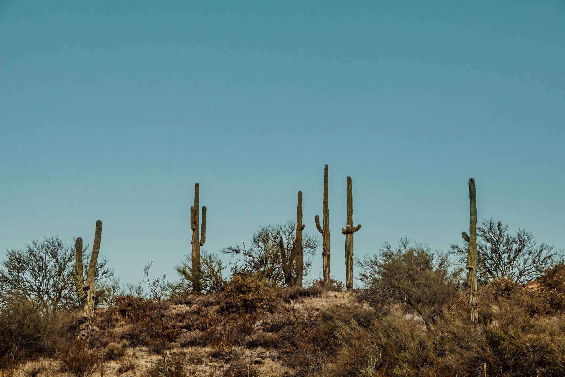 outside in Arizona